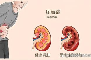 官方：洛杉矶FC与苏黎世草蜢正式建立长期战略合作伙伴关系