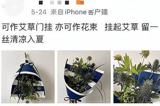 年度争议判罚：手球标准迷惑VAR成焦点 胡珀力压群雄当选年度盲僧